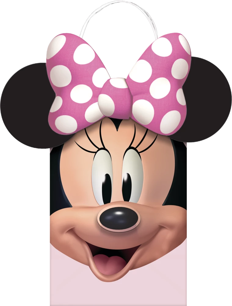 Disney Minnie Mouse Forever Create Your Own Birthday Party Favour Bag Kit, 8-pk